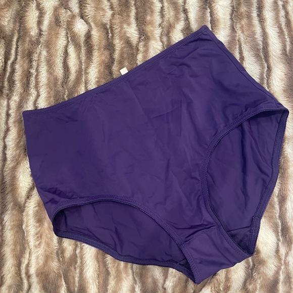 Rhonda Shear Other - Rhonda Shear High Waist Pinup Brief Purple Panties Underwear 2X NEW